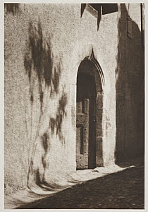 10458583
� TBC / Royal Photographic Society
'The Shadow of a Tree', date unknown.