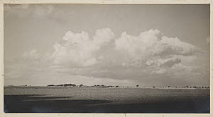 10458584
� TBC / Royal Photographic Society
'The Wheat Growing Plains...', date unknown.