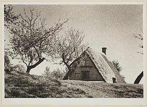 10458590
� TBC / Royal Photographic Society
'Now that April's Here', date unknown.