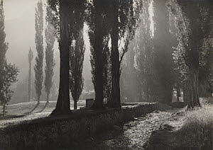 10458593
� TBC / Royal Photographic Society
'The Valley of Poplars', c 1923.