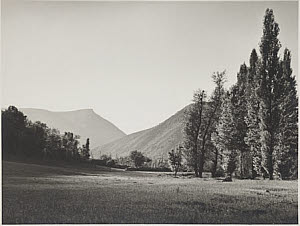 10458595
� TBC / Royal Photographic Society
'Pastures at Le Rozier', date unknown.