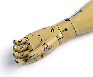 10327266
� Science Museum
Hand from an artificial arm, 1915.