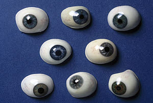 10311876
� Science Museum
Collection of artificial eyes, French, 19th century.