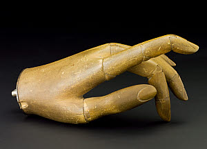 10546362
� Science Museum
Wooden hand with all fingers fully articulated. Origin unknown, probably c.1914.