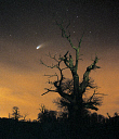 10545393
�
Comet Hale-Bopp, by Jamie Cooper.