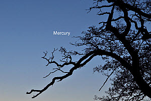 10545414
�
Mercury