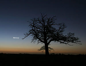 10464603
� Jamie Cooper
Mercury in the morning sky, 2006.