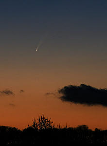 10464653
� Jamie Cooper
Comet McNaught, 2006.