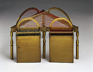10317212
� Science Museum
Model of a groin, string surface model, 1872.