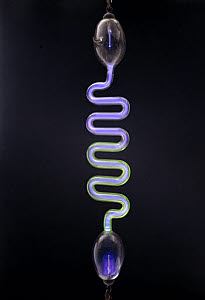 10309221
� Science Museum
Working Geissler tube, c 1988.
