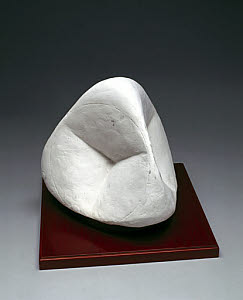 10314736
� Science Museum
Steiner Surface model, c 1875.