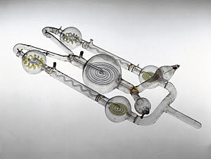 10321736
� Science Museum
Geissler tube, 1855.