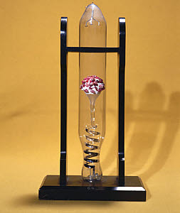 10193043
� Science Museum
Crookes' tube showing the phosphorescence of rubies, 1879-1888.