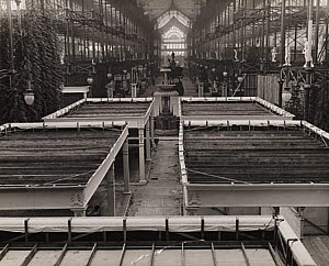 10459008
&copy; Royal Photographic Society
Crystal Palace (Festival of Empire), c 1911.