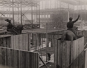 10459012
&copy; Royal Photographic Society
Crystal Palace (Festival of Empire), c 1911.