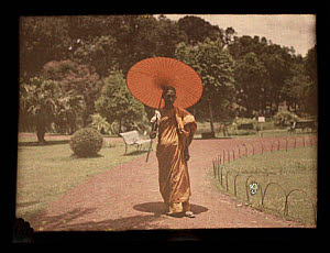10458313
'Buddhist Priest, Zoological Gardens'.