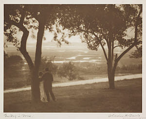 10453414
'The Day is Done', c 1910.