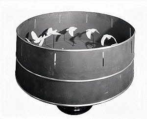 10232422
Model of Zoetrope, 1886. Made by E J Marey.