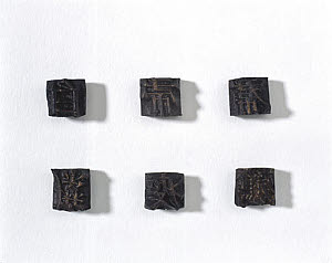 10326322
&copy; Science Museum
Casts of Korean bronze type, 1406.