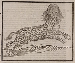 10425323
&copy; Science Museum Library
The Lamia, 1607.