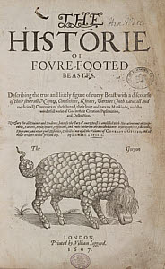 10425327
&copy; Science Museum Library
Title page to �The Historie of foure-footed beastes�, 1607.