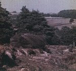 10465355
&copy; John Martin
Countryside, c 1910-1915.