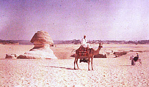 10455860
Sphinx and camel, c 1920-1930.