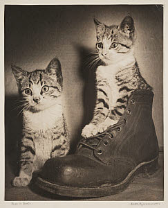 10453380
'Puss in Boots', c 1935.
