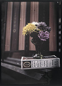 10406184
&copy; NMeM
Autochrome of flowers on a book, c 1908.
