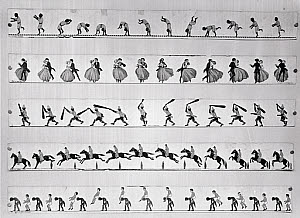 10232379
Original Zoetrope picture bands, c 1860s.