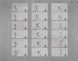10232452
Investigation into Walking