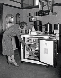 10315494
&copy; NMeM Daily Herald Archive
Demonstrating the latest Electrolux electrical goods, 1 July 1931.