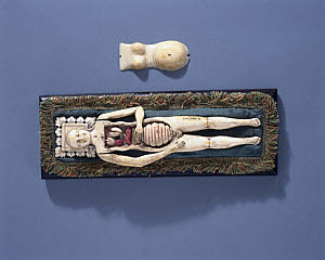10284105
&copy; Science Museum
Ivory anatomical figure of a pregnant woman, 17th-18th century.
