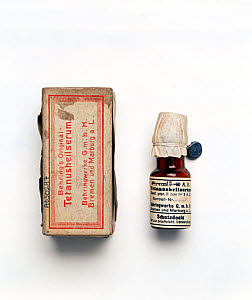Tetanus Neonatorum