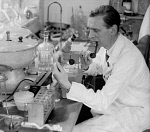 10411916
&copy; Manchester Daily Express
Scientist conducting IVF research, Jessop Hospital, Sheffield, 1970.