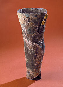 10284932
&copy; Science Museum
Artificial leg, Roman, c 300 BC.