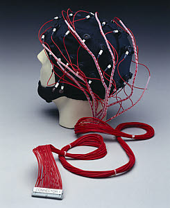 10322044
&copy; Science Museum
Electroencephalography (EEG) cap, 1999.