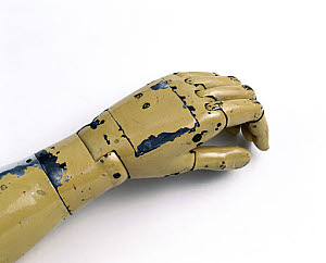 10327264
&copy; Science Museum
Hand from an artificial arm, 1915.