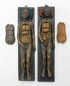 10289170
&copy; Science Museum
Two anatomical models, 17th century.