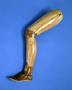 10326773
&copy; Science Museum
Artificial leg, 'Anglesey' type, 1890-1920.