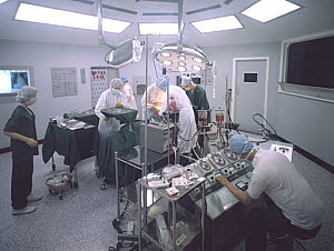 10288192
&copy; Science Museum
Heart surgery in 1980.