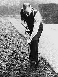 10250294
&copy; NMeM Daily Herald Archive
World War I pensioner digging with a prosthetic arm, 6 May 1942.