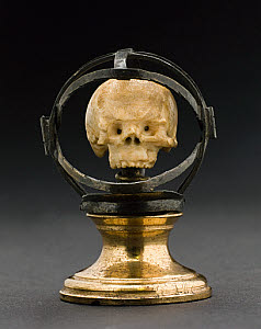10547455
&copy; Science Museum
Miniature ivory skull. Europe, 1840-1920.