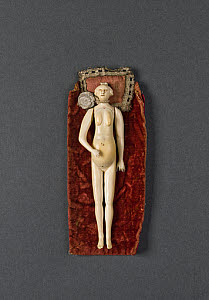 10546455
&copy; Science Museum
Ivory anatomical figure. Possibly French, 18th or 19th century.