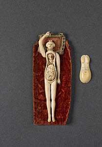10546456
&copy; Science Museum
Ivory anatomical figure. Possibly French, 18th or 19th century.
