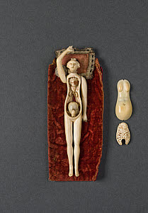 10546457
&copy; Science Museum
Ivory anatomical figure. Possibly French, 18th or 19th century.