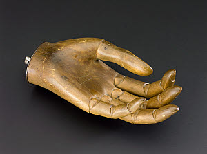 10546361
&copy; Science Museum
Wooden hand with all fingers fully articulated. Origin unknown, probably c.1914.
