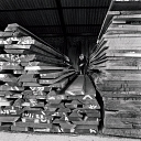 10414804
&copy; NMeM - Walter Nurnberg
Selecting timber in the store yard of Elliots of Reading. England, 1960.
