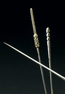 10450006
&copy; Science Museum
Acupuncture needles, China