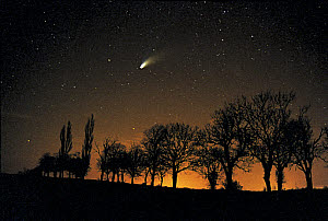 10545392
&copy; Jamie Cooper
Comet Hale Bopp, by Jamie Cooper.